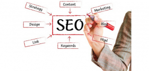 Search Engine Optimization